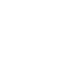 DMVOFFGRID black logo